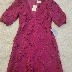 Elegant Magenta Lace Dress